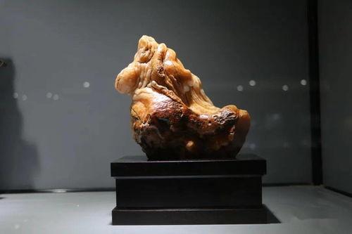 精品免费产品精品免费产品精品,探索免费精品产品的无限魅力