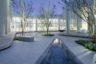 91九色丨精品丨入口,解锁无限精彩世界